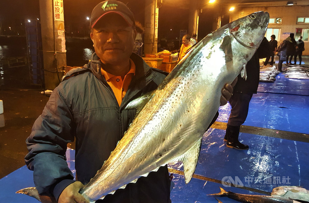 澎湖馬公第三漁港在眾多的漁獲拍賣中,出現2尾少見的「白腹魚」,都重達10公斤以上,其中1尾12.8公斤,最後以每公斤新台幣8888元標出,創下漁市新高紀錄。中央社 110年1月20日