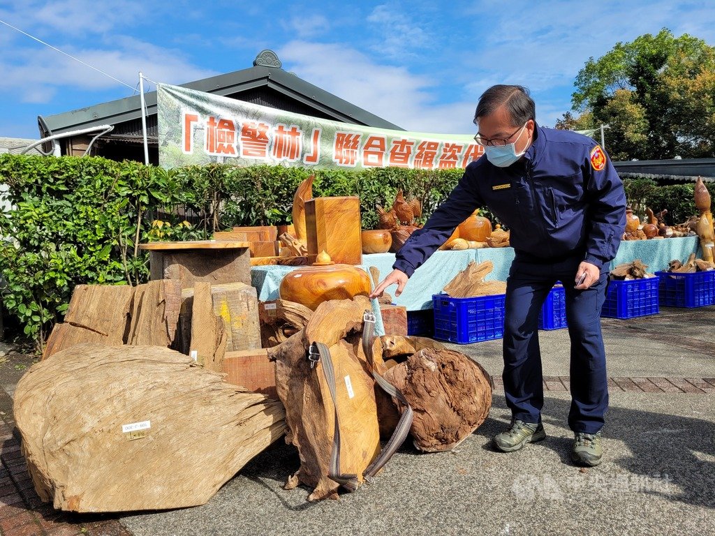 檢警21日宣布破獲宜蘭明池山老鼠盜伐集團,查扣市值約新台幣544萬元的藝品與原木,起訴12名犯嫌。中央社記者沈如峰宜蘭縣攝 110年1月21日