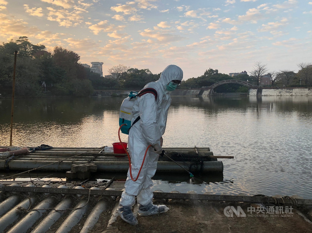 中正大學寧靜湖周邊禽類感染H5N5高病原性禽流感,湖內鵝、鴨全遭撲殺,嘉義縣家畜疾病防治所人員並加強周邊環境消毒。(嘉義縣家畜疾病防治所提供)中央社記者蔡智明傳真 110年1月21日