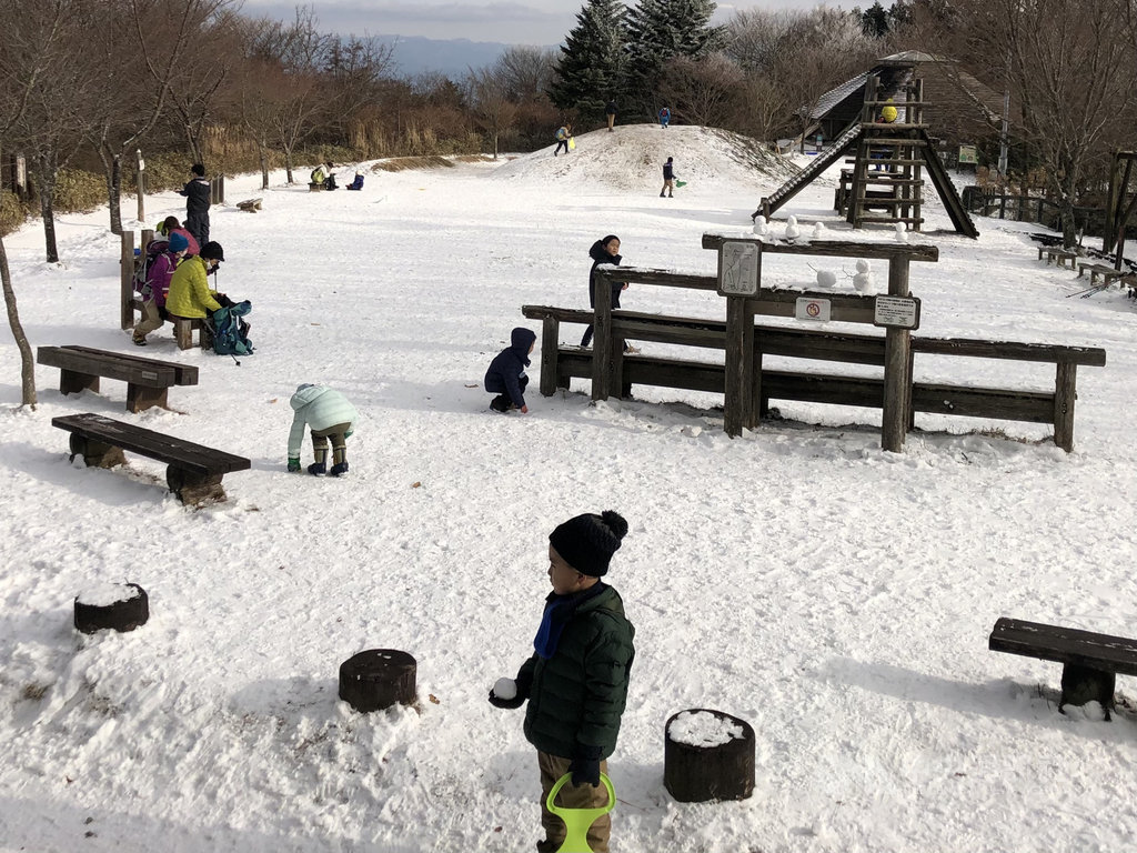 大阪東南金剛山的山頂附近有「大阪府民の森-ちはや園地」,入冬後的廣場被白雪覆蓋是現成的滑雪場。圖攝於1月11日。中央社記者魏紜鈴大阪攝 110年1月23日