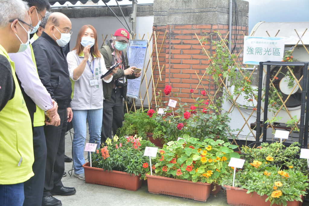 行政院長蘇貞昌(左3)23日視察桃園區農業改良場台北分場,瞭解可依建築樓層與光照建議種植花卉,以及透過視訊系統可為植物看病、疫情期間可協助農民遠端交易。中央社記者黃旭昇新北攝 110年1月23日