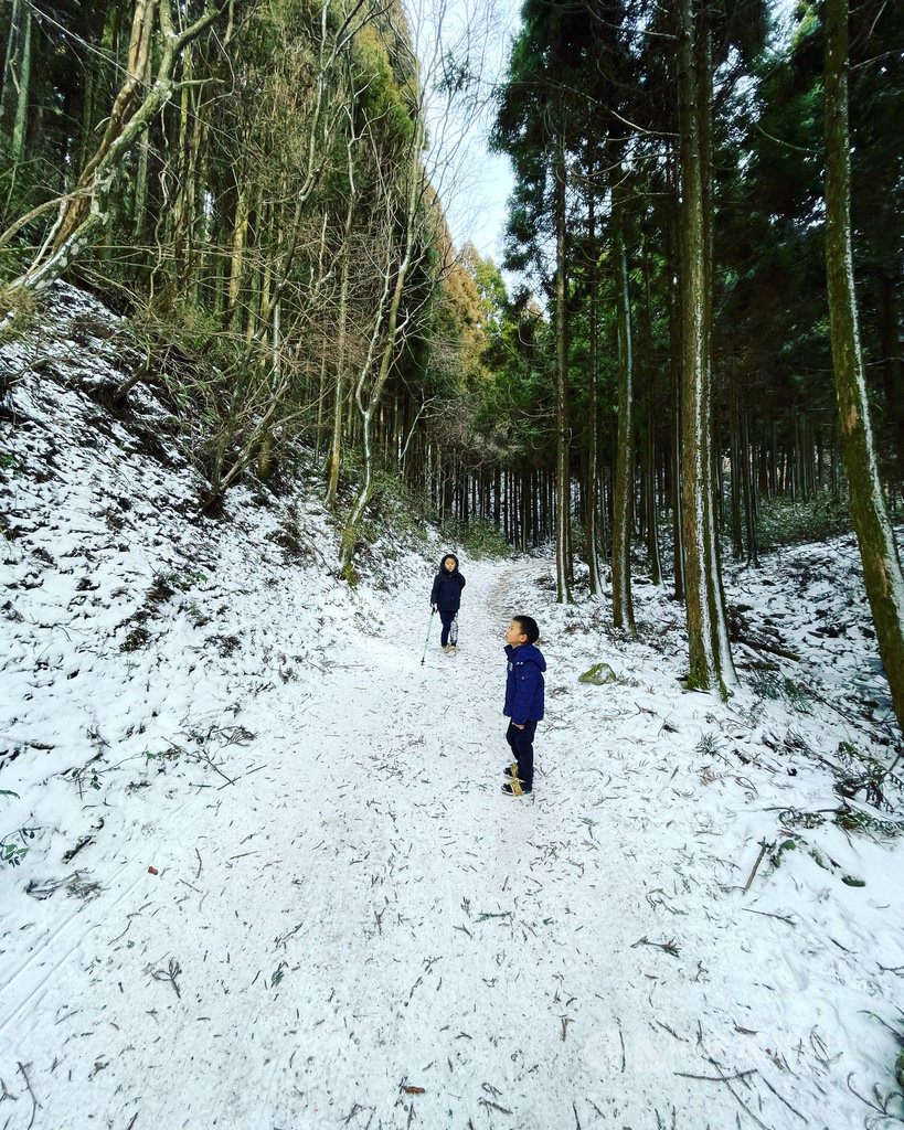 金剛生駒紀泉國定公園內的金剛山,在大阪府千早赤阪村與奈良縣御所市境內呈南北縱走。山路平緩好爬,景致隨四季變化,春綠夏蔭秋楓冬雪。圖為1月11日兒童走在白雪覆蓋的山徑。中央社記者魏紜鈴大阪攝 110年1月23日