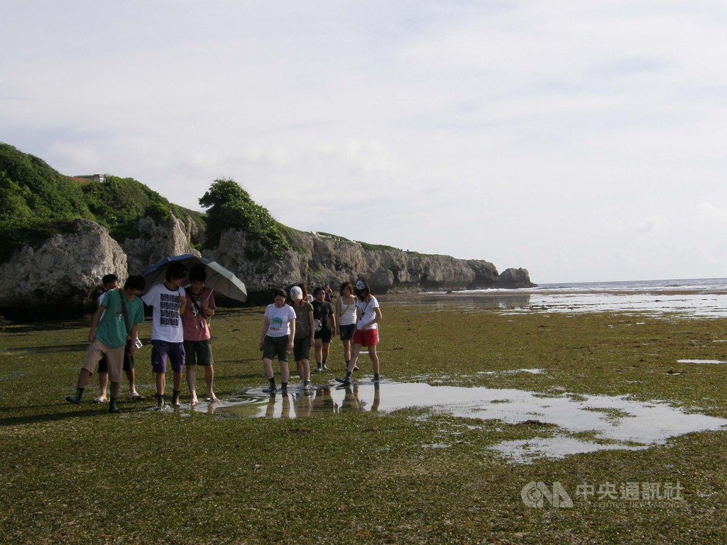 屏東縣小琉球肚仔坪潮間帶原有豐富且多樣性海洋底棲生物、獨特海草床及珊瑚礁景觀,經中山大學研究團隊調查,生物量已減少8成,屏東縣政府將限制進入潮間帶人數。圖為往日海草床美景。(屏東縣政府提供)中央社記者郭芷瑄傳真 110年1月25日