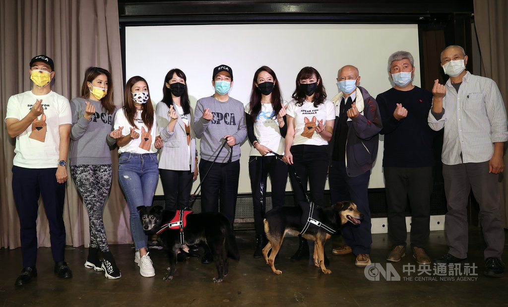 台灣防止虐待動物協會 (TSPCA)和台北市議員許淑華(右4)共同邀請副總統賴清德(左5)力挺動保,親自示範擔任收容所志工,並拍攝影片呼籲國人飼養寵物應以「領養代替購買」。中央社記者鄭傑文攝 110年1月26日