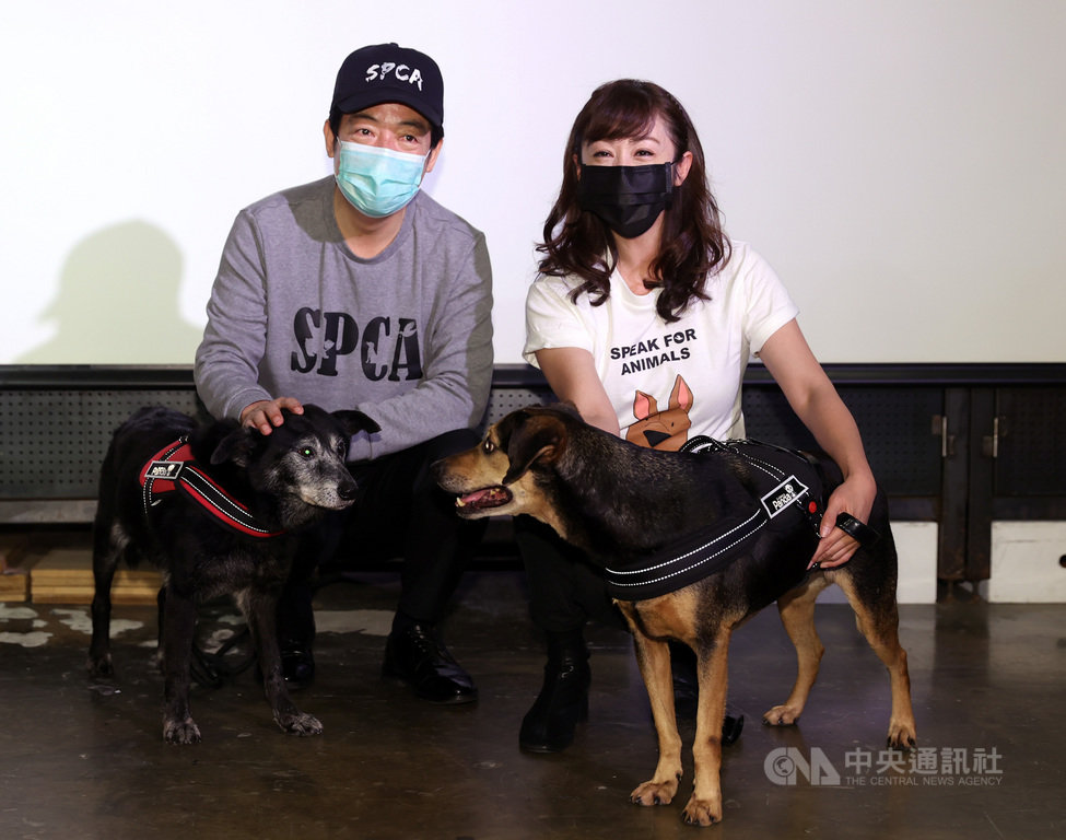 副總統賴清德(左)26日出席台灣防止虐待動物協會記者會,與一同前往新北市瑞芳動物之家擔任志工的台北市議員許淑華(右)合影。中央社記者鄭傑文攝 110年1月26日