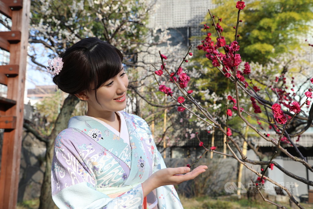 日本奈良時代(710-784年)王公貴族賞花是以賞梅為主流,而非賞櫻。王公貴族舉辦賞花會,成了現代人花見(賞花)文化的起源。圖為東京芝公園的梅林。中央社記者楊明珠東京攝 110年2月22日