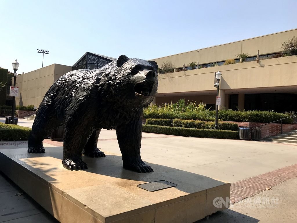 加州大學洛杉磯分校(UCLA)宣布,收到來自外交部200萬美元捐款,用於加強台灣研究在校內的發展。圖為UCLA吉祥物棕熊雕像。中央社記者林宏翰洛杉磯攝 110年2月23日