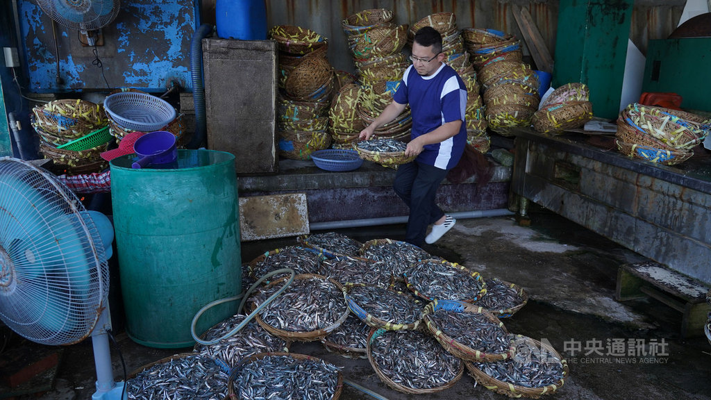 樂團魚丁糸鼓手八女(小威)在澎湖體驗傳統曬魚乾手法,並認為日曬魚乾的滋味是天然、太陽的味道,機器無法取代,就像自己做音樂不會使用罐頭音樂一樣。(公視提供)中央社記者葉冠吟傳真 110年2月23日