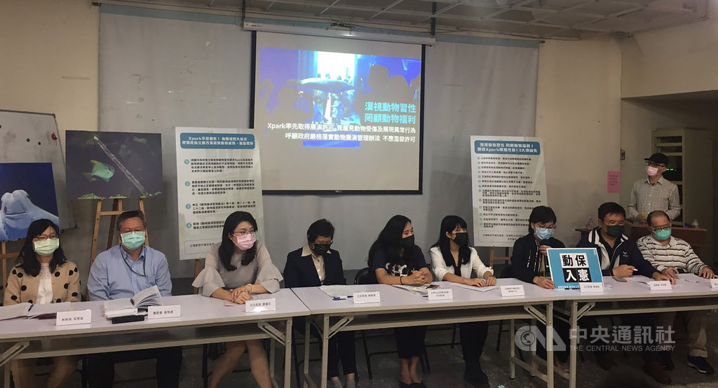 台灣動物平權促進會(動平會)等動保團體23日召開記者會,質疑取得展演許可的Xpark有多個展區有受傷、刻板行為及飼養環境設計不符動物習性問題,將檢舉,並主張讓動團參加許可審查。中央社記者楊淑閔攝 110年2月23日