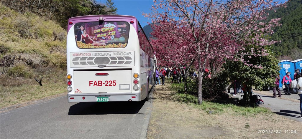武陵農場櫻花季展開,一名男子駕駛小型車賞櫻回程時行經桃子園大型巴士下車處,與武陵農場交管人員發生口角,遭交管人員以防猴漆彈槍示警,武陵農場23日表達歉意,並表示願意賠償民眾車損。(武陵農場提供)中央社記者郝雪卿傳真 110年2月23日