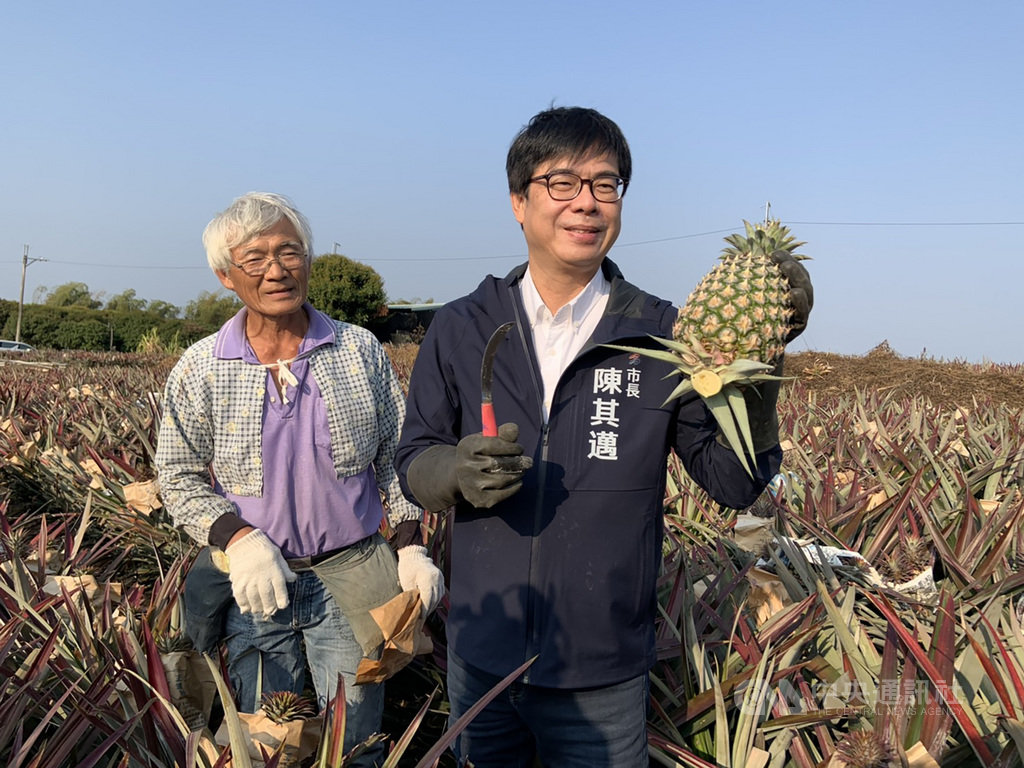 中國3月起停止台灣鳳梨進口,高雄市長陳其邁(右)表示,目前已研擬產銷配套措施,包括將針對非中國市場提高外銷獎勵,鼓勵貿易商分散市場、降低風險,媒合貿易商轉單其他國家,更公告「高雄市農產線上小型機動拓銷團費用補助計畫」,努力透過線上拓銷方式開拓其他國家市場。(高雄市農業局提供)中央社記者侯文婷傳真 110年2月26日