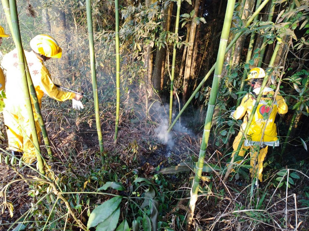 嘉義縣達邦公路18日下午發生林班地火警,因地面乾燥落葉多,加上芒草、竹林等助易燃物,火勢一時無法控制,嘉義林管處人員冒險滅火。(嘉義林管處提供)中央社記者蔡智明傳真 110年3月19日