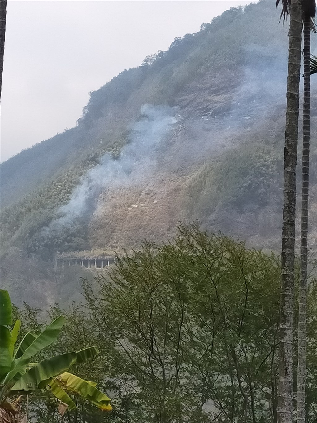 阿里山達邦公路邊坡26日下午再度起火,網友於臉書分享火警現場照片。(圖取自阿里山鄒族部落道路資訊臉書社團facebook.com)(圖取自)