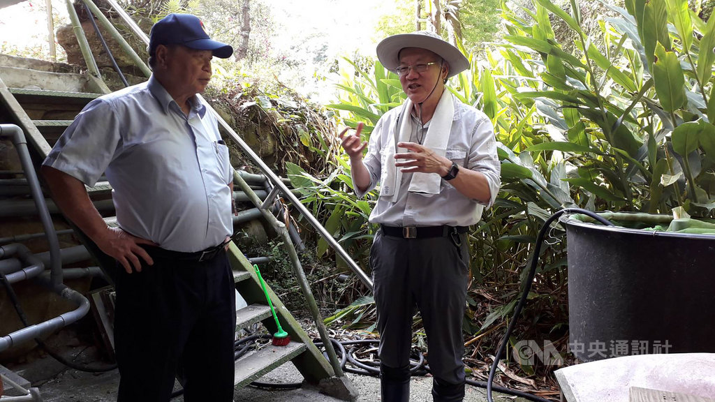 乾旱少雨危及台灣白魚生存中市府救援移地畜養 生活 中央社cna