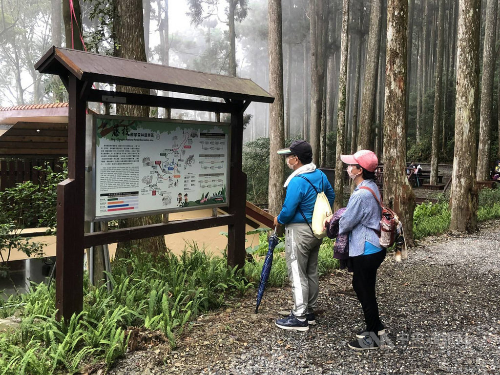 藤枝國家公園(林務局提供)