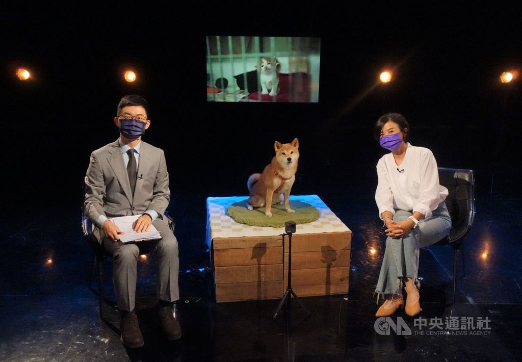 歐洲徵寵物稅降棄養率視網膜願納稅為愛犬負責 娛樂 中央社cna