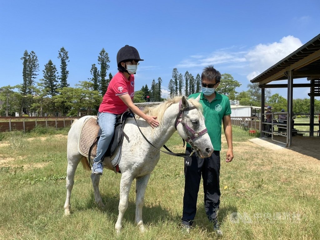 金門畜試所騎馬體驗開跑未來將提供馬術教學 地方 中央社cna