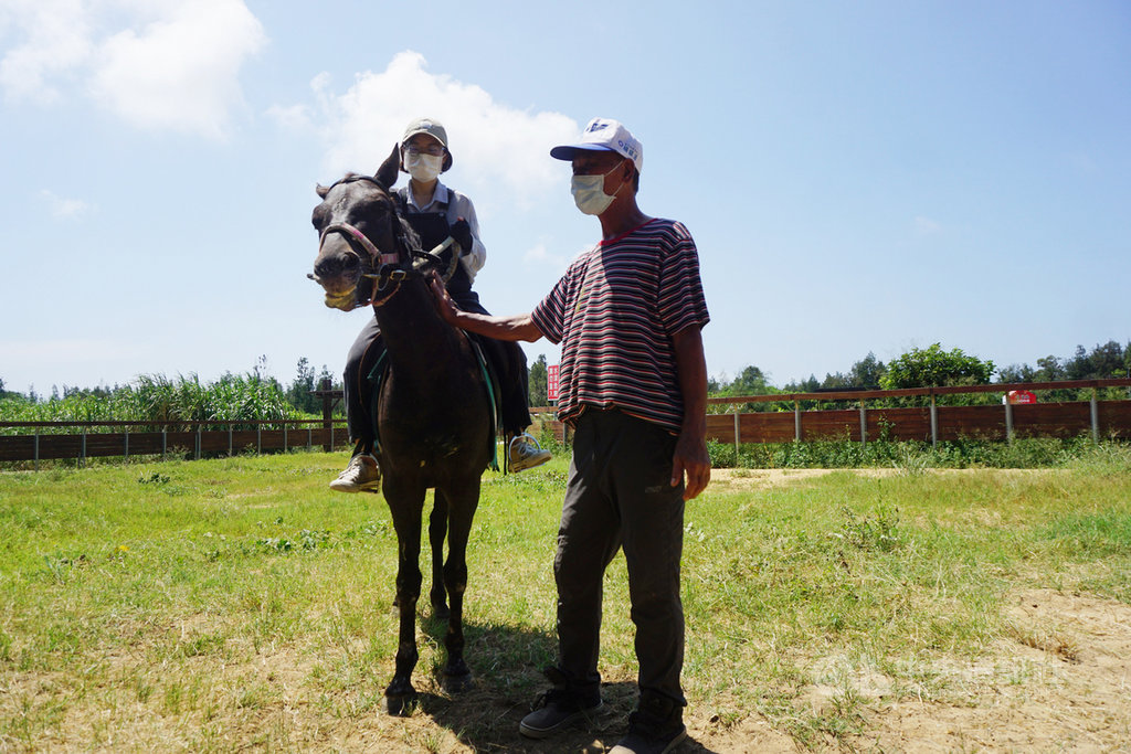 金門畜試所騎馬體驗開跑未來將提供馬術教學 地方 中央社cna