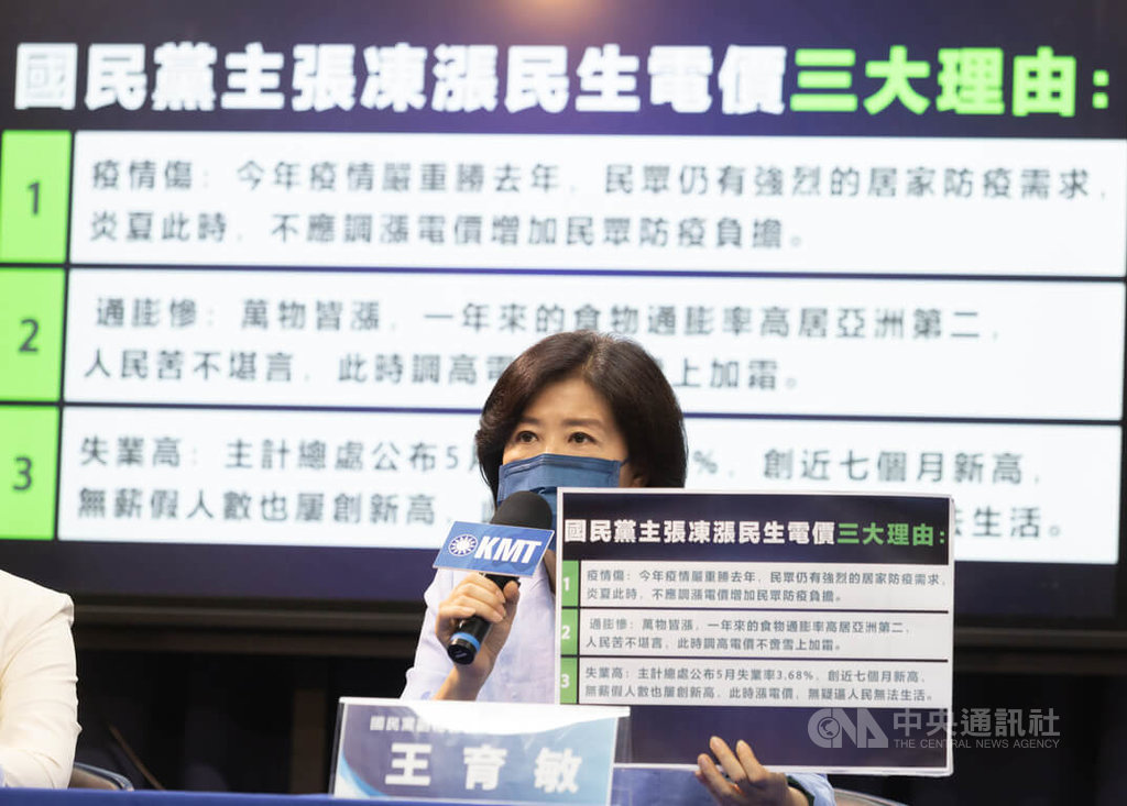電價審議會27日召開 國民黨要求民生用電凍漲 | 政治 | 中央社 CN