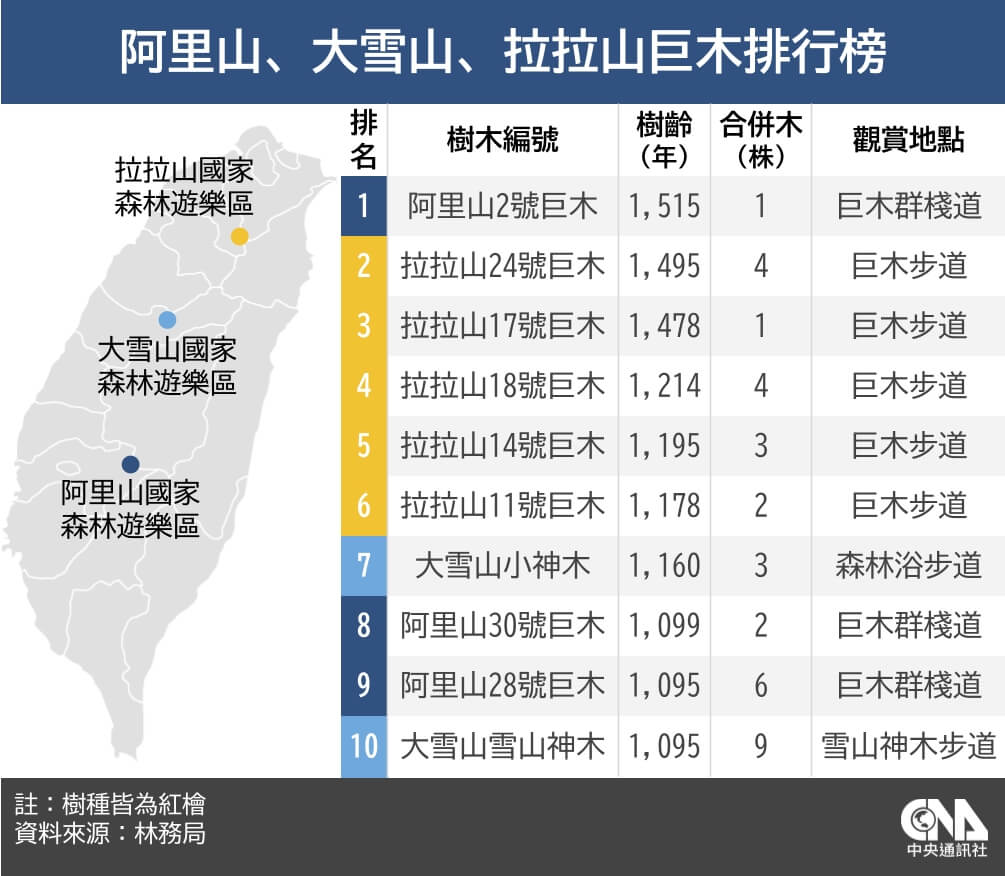 拉拉山轉型國家森林遊樂區5巨木入列樹齡榜| 生活| 中央社CNA