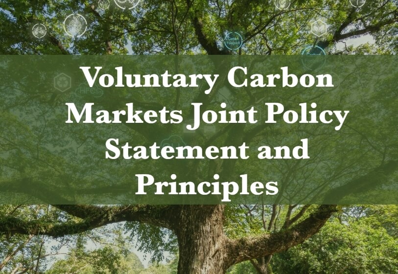 美國拜登政府發布「自願性碳市場聯合政策聲明和原則」（Voluntary Carbon Markets Joint Policy Statement and Principles），透過制定指導方針來確保自願性碳市場（VCM）的高度完整性，加強推動碳信用市場。（圖取自白宮網頁）