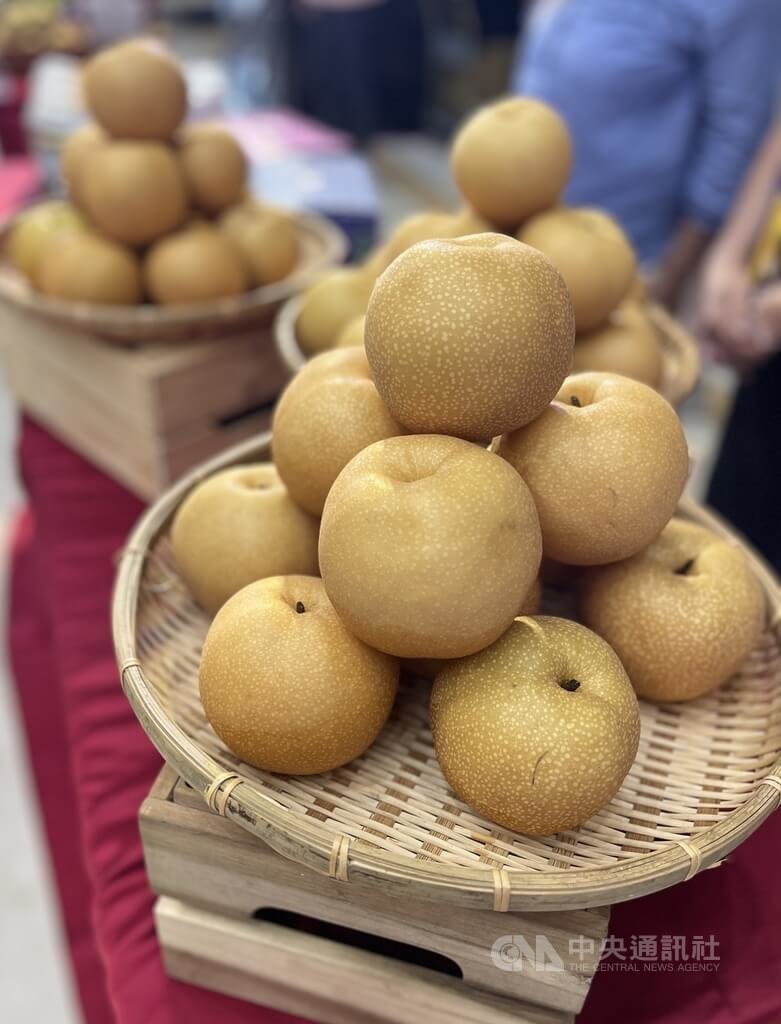 ☆【美品】三味線 花梨 全長:約87cm 棹幅:約2.5cm Costco好市多MAX STAR 太星電工桌上型快充延長線#146247 - 今購百科