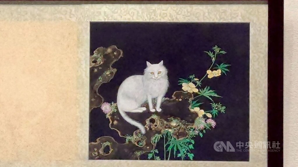 故宮南院展琉球「神貓圖」 參觀者絡繹不絕 | 文化 | 中央社 CNA