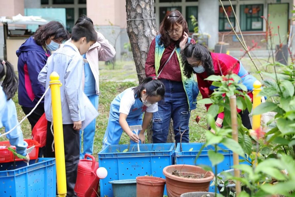 新北市教育局25日表示，新北共有14校獲選教育部智慧化氣候友善校園先導型計畫。圖為校園食農教育，利用堆肥進行蔬果栽種，降低食物里程。（新北市教育局提供）中央社記者黃旭昇新北傳真  113年10月25日