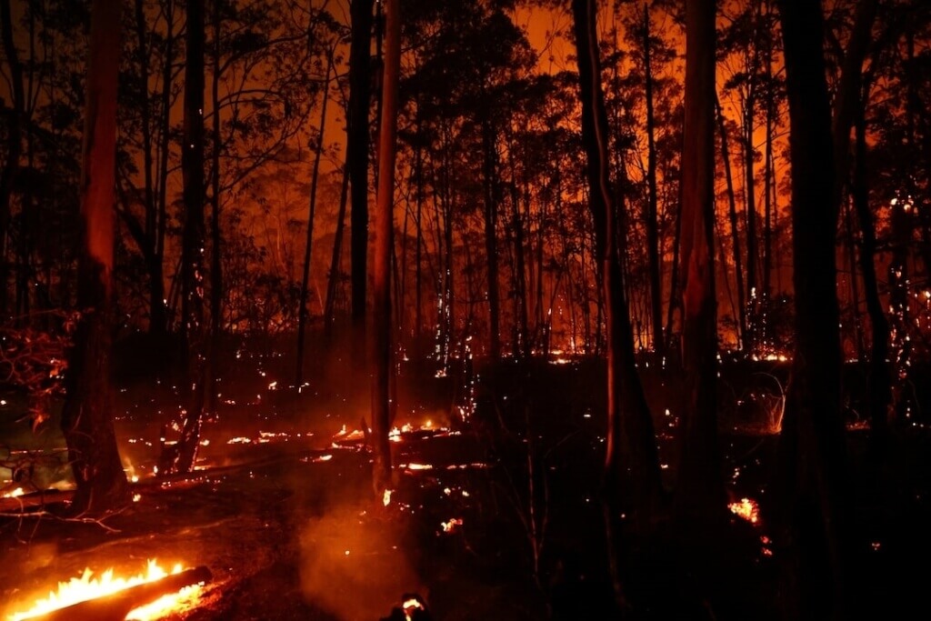 巴西環境監測機構表示，2024年巴西野火燒毀的土地總面積，超過義大利的國土面積。（路透社）