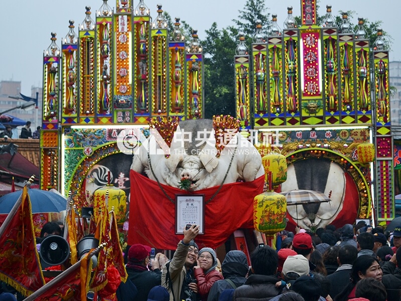開箱老照片》賽神豬 | 生活 | 中央社 CNA