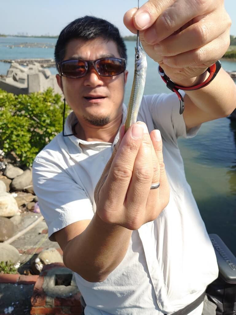 台灣德國攜手發現新魚種 以高雄舊稱命名打狗異鰭鱵 | 生活 | 中央社 CNA