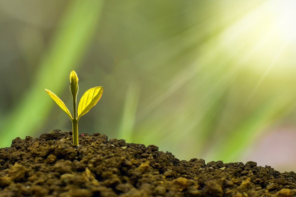 全球碳信用評等機構BeZero Carbon最新研究，英國2035年底前的人工碳移除量，將超過政府所設國內目標的1300萬噸，也能達成2035年底前透過自然方式（如植樹）移除約500萬噸碳的目標。（圖取自pixabay圖庫）