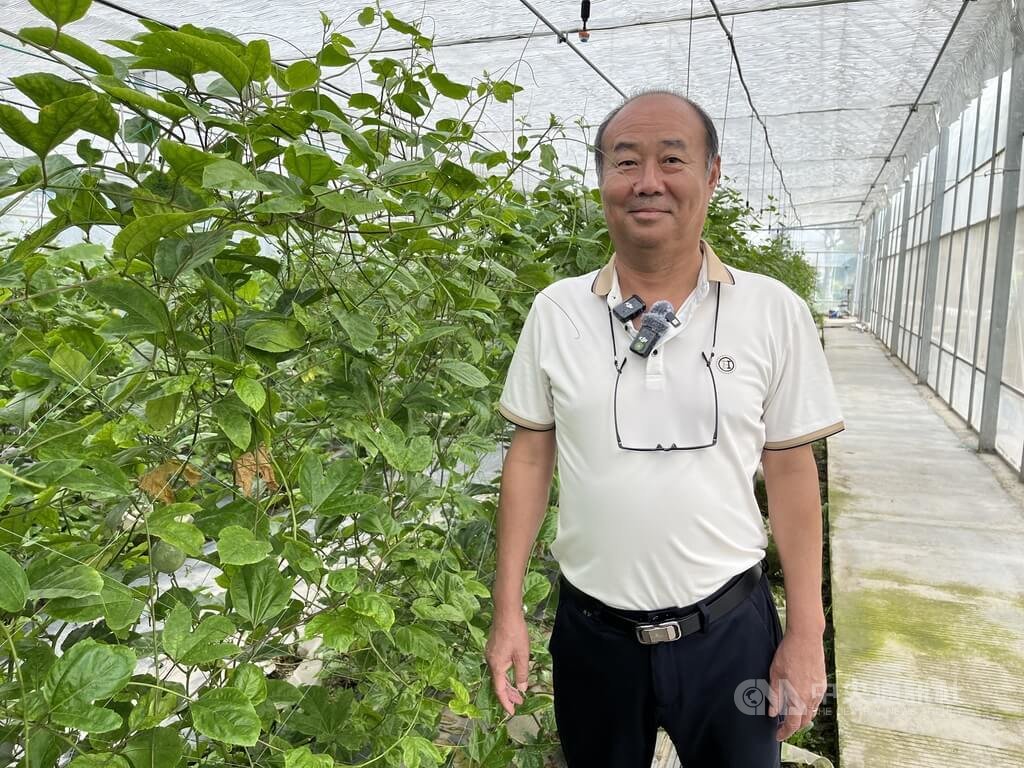上海崇明台商紮營　台灣精緻農業精神在地發芽