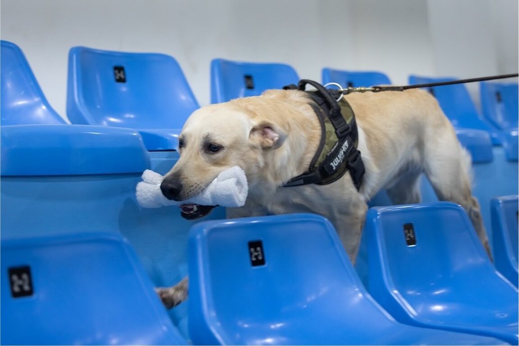 K9軍犬分隊入鏡匠人魂　一探護國神犬成長記[影]