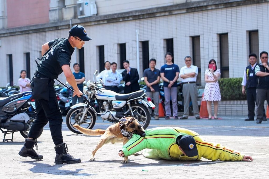 台中市警犬隊因世界花博成軍  提升維安反恐量能