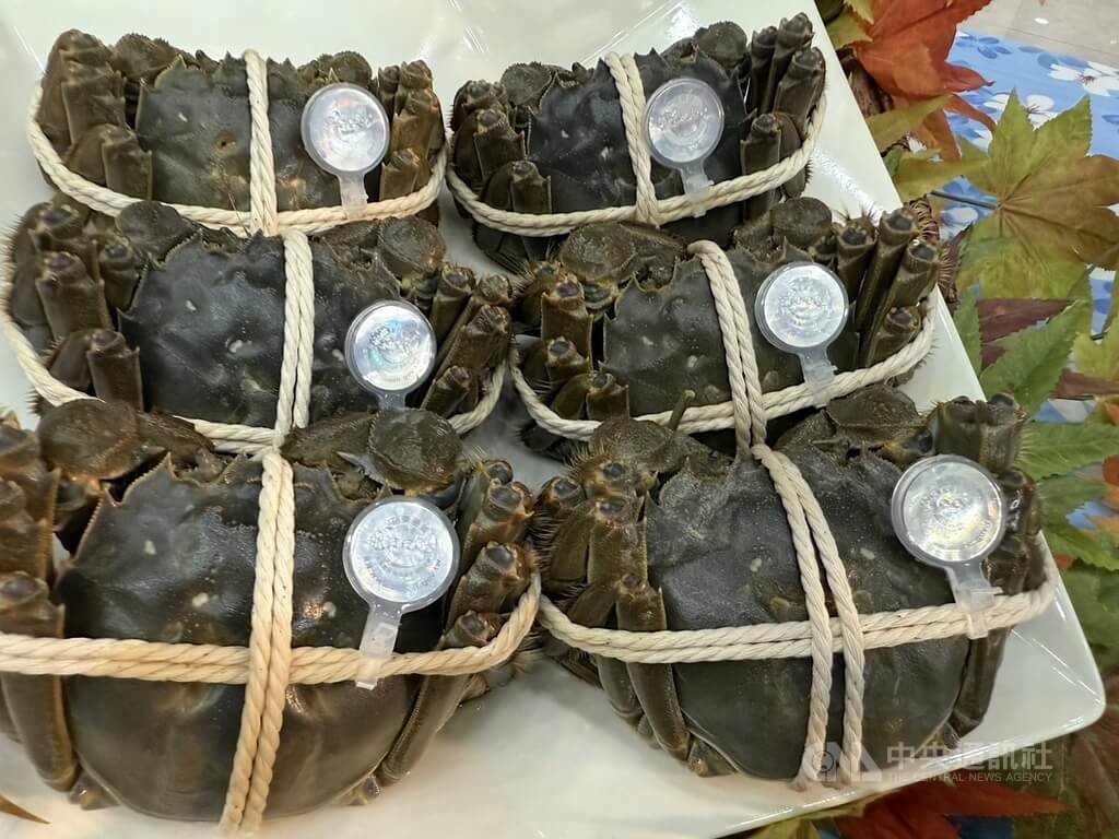 苗栗優質大閘蟹上市　認明專屬防偽蟹環
