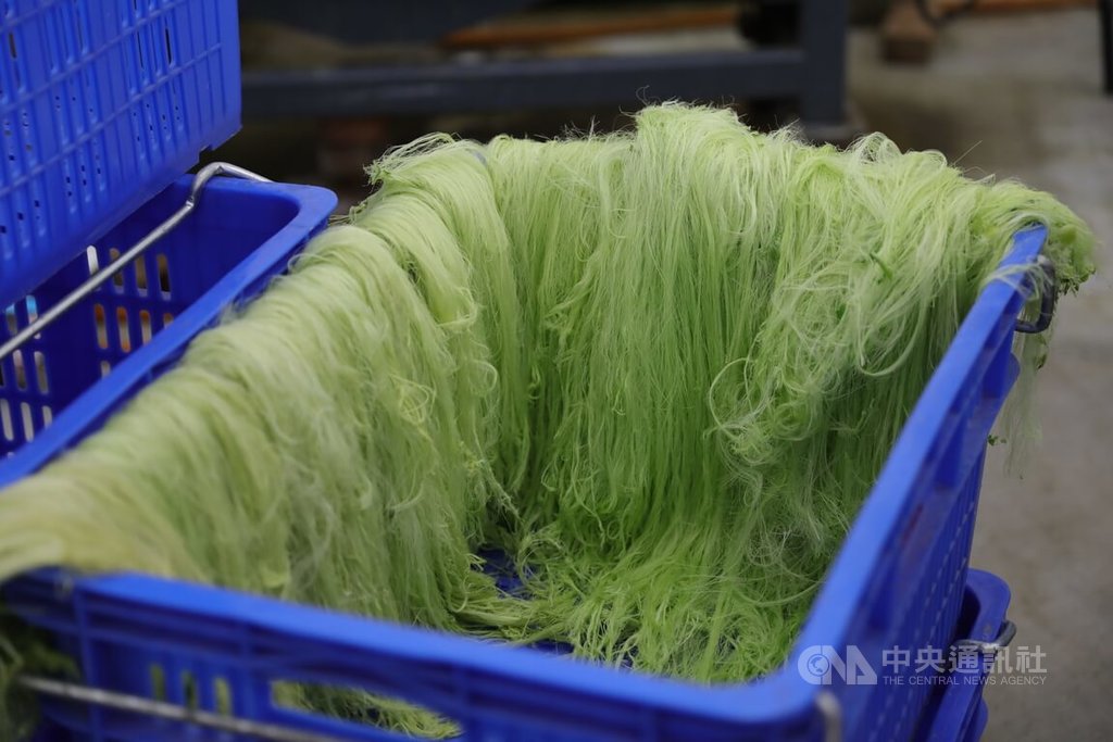 創新研發取纖機　台灣打造農廢變綠金（3）