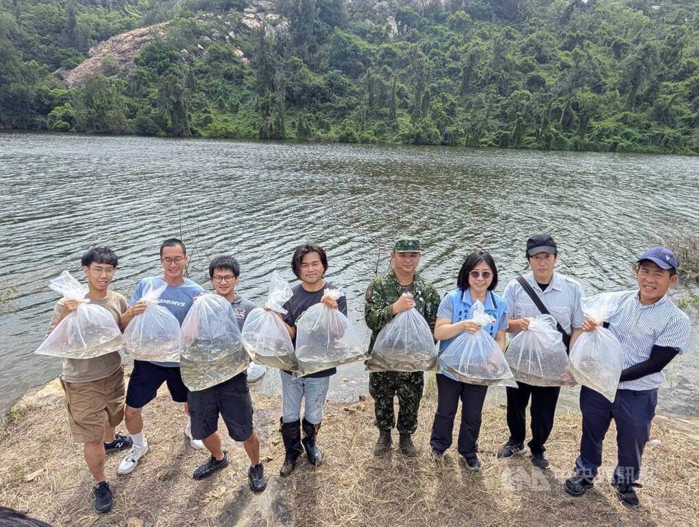 金門野放800尾原生淡水魚