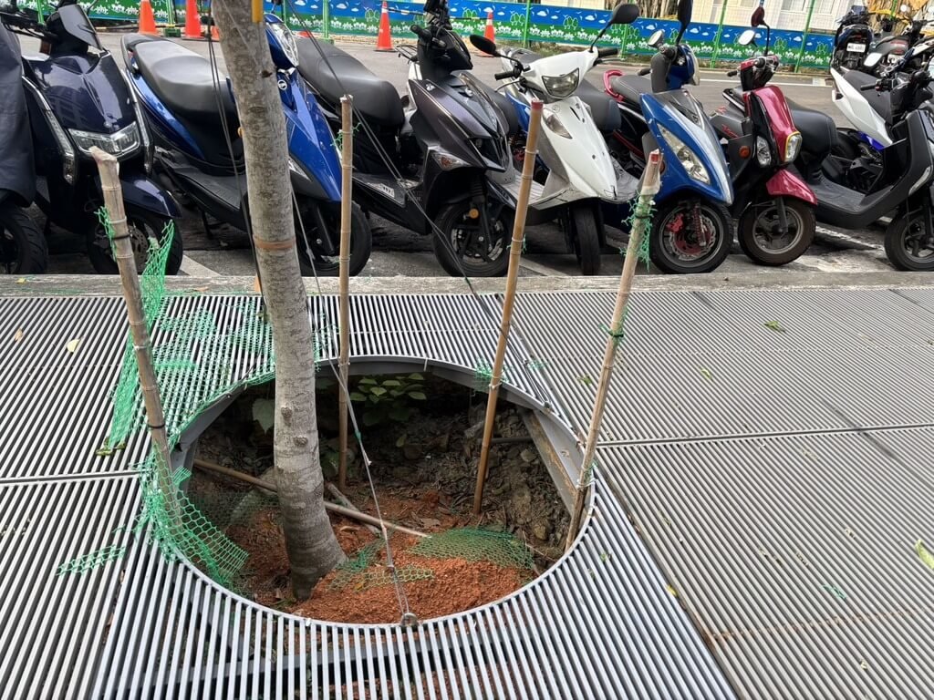 議員諷獲獎明倫社宅有樹穴　像是行人地雷