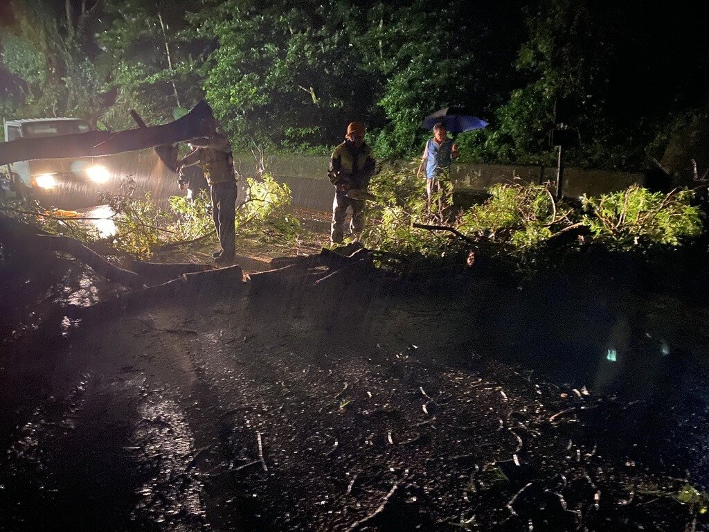 苗130線大樹傾倒　通苑救難隊員連夜搶通