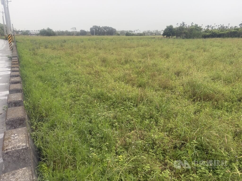大進國小東側農地將興建光復洪災中繼屋預定地