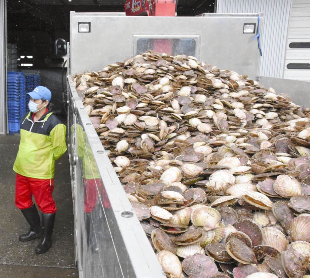 產業面：再禁日本水產品 衝擊不如以往