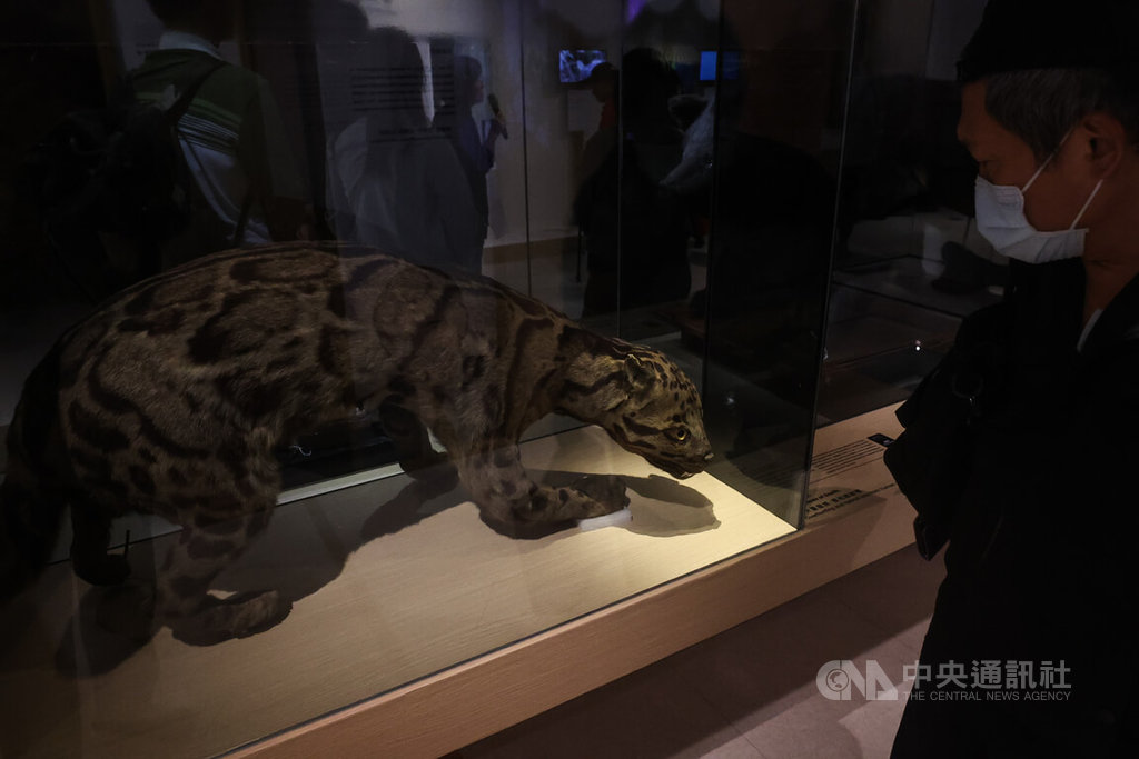 台博館推出「第六次大滅絕」特展（1）