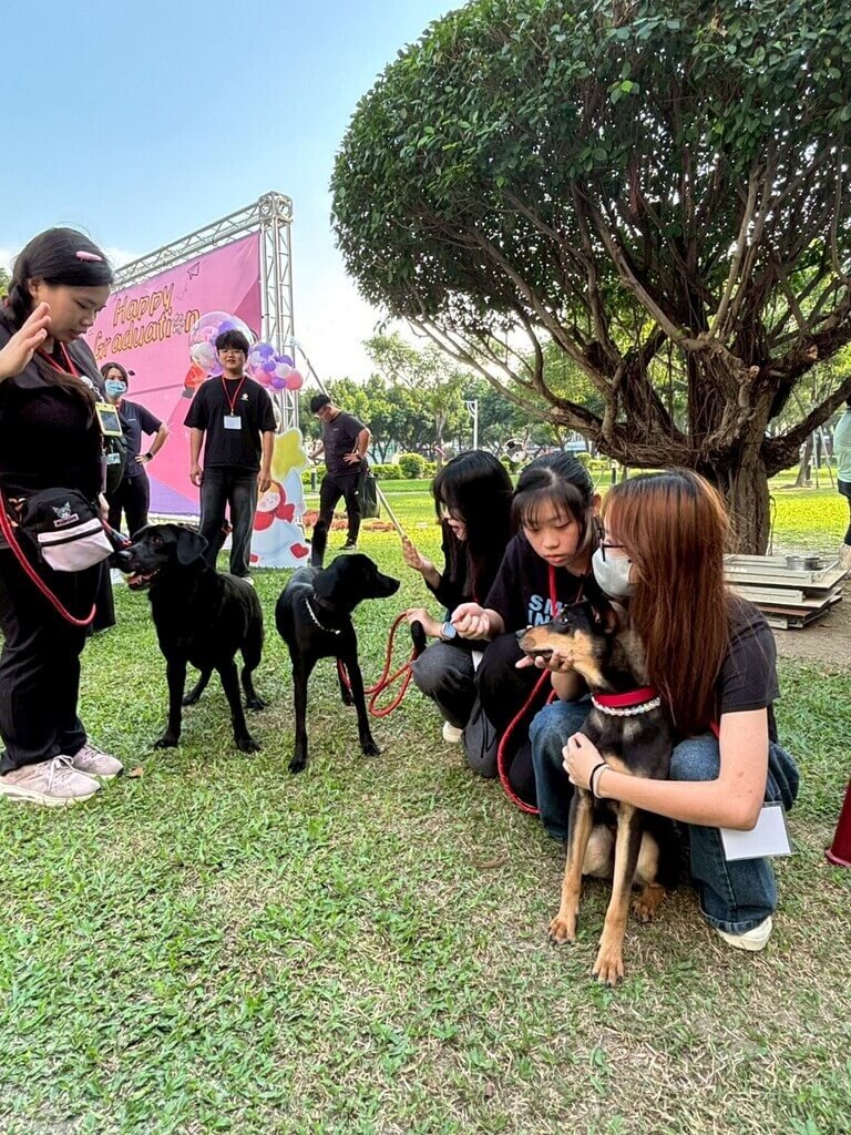 屏東大學迎來3隻學習輔助犬新成員