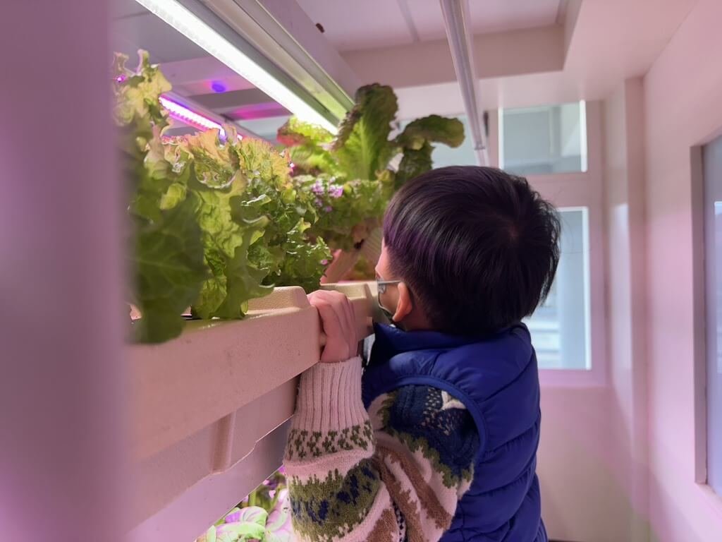 馬祖介壽國中小設職探中心　學童體驗當科技農夫