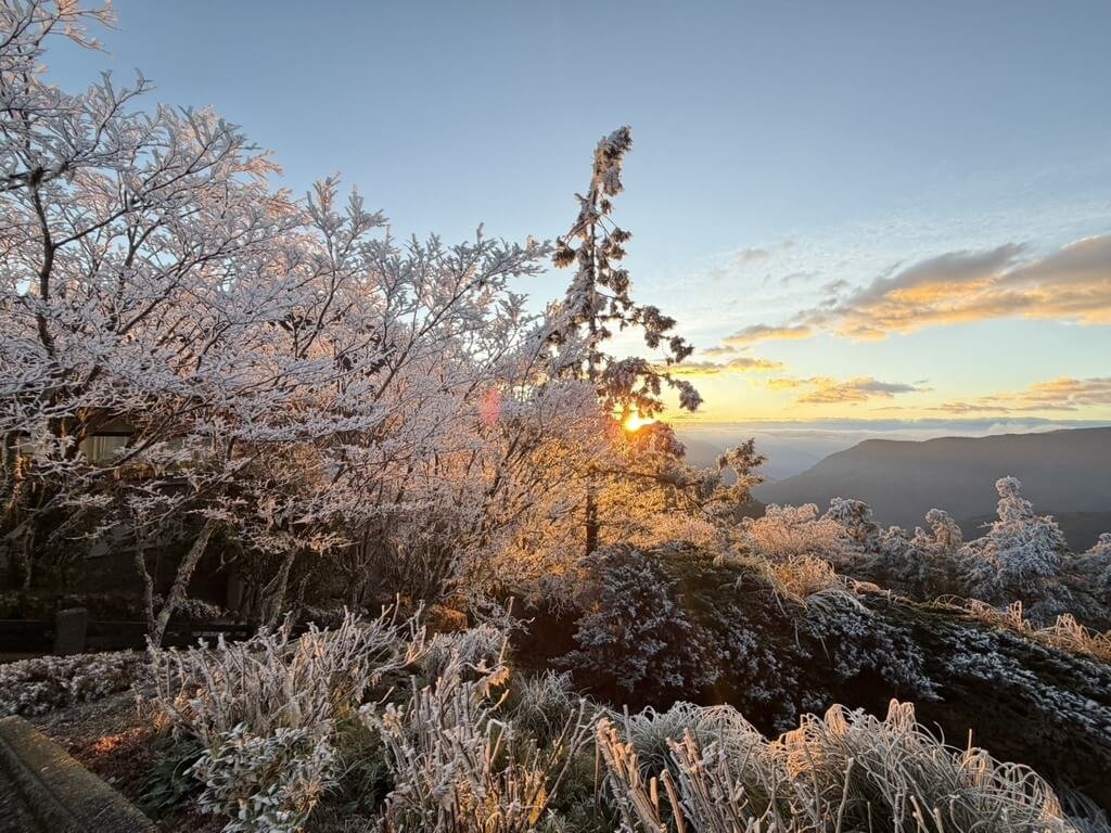 冷氣團發威 宜蘭太平山清晨呈現霧淞日出美景