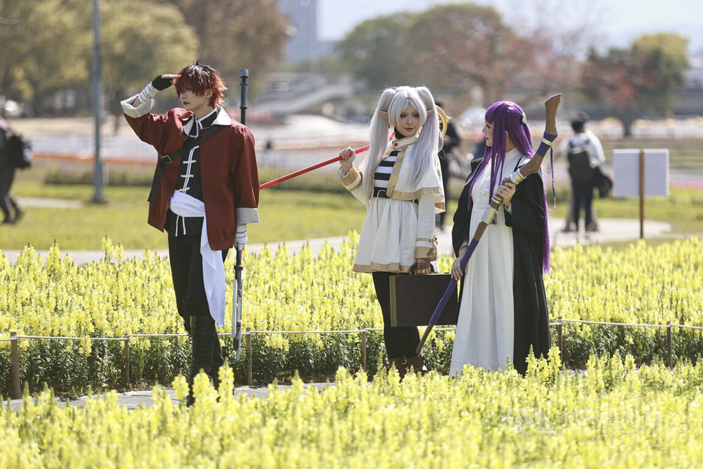 古亭河濱公園花海吸引coser取景（1）