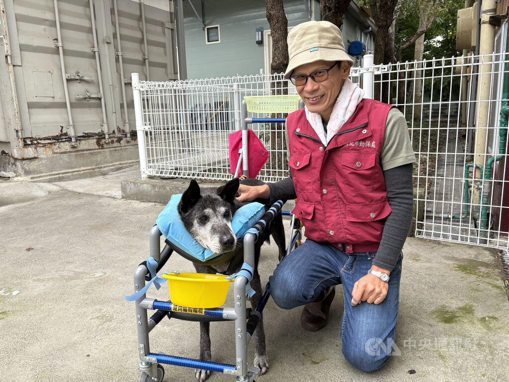 新北動保員製水管輪椅　助殘疾毛孩重生