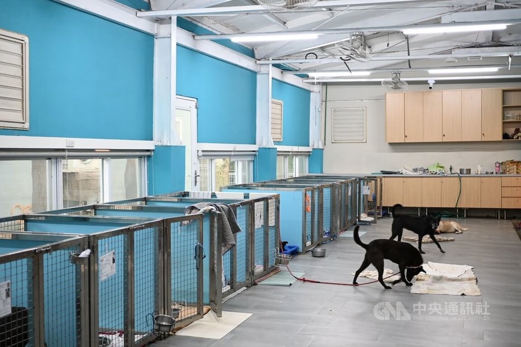 新北中和動物之家　設置動物長照區域