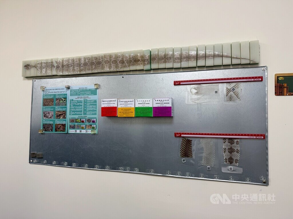 全台毒蛇集結　打造救命血清